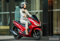 <b>欧宝体育官方
在线登录购Honda PCX 尊享价值2880元礼包+0元</b>